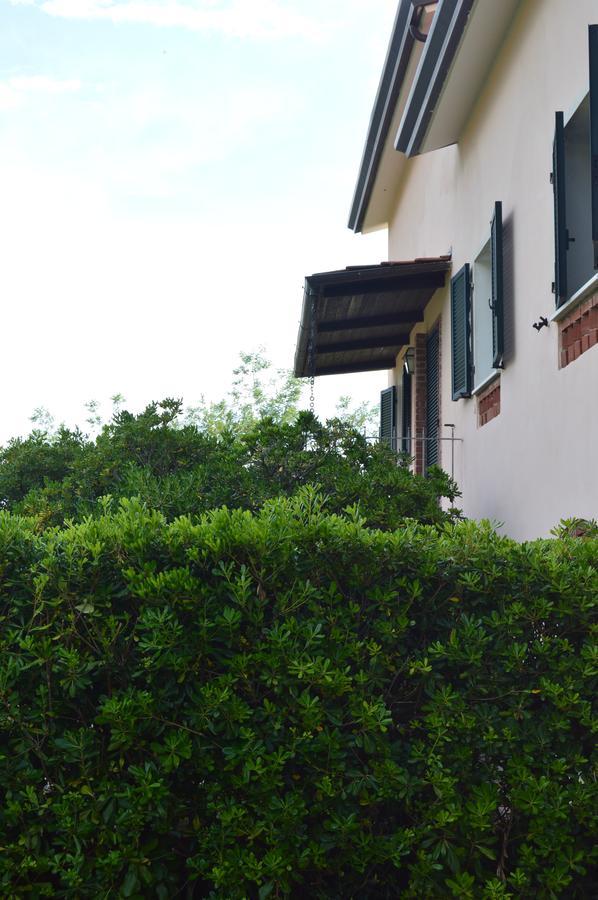 Apartment Casa Sarticola