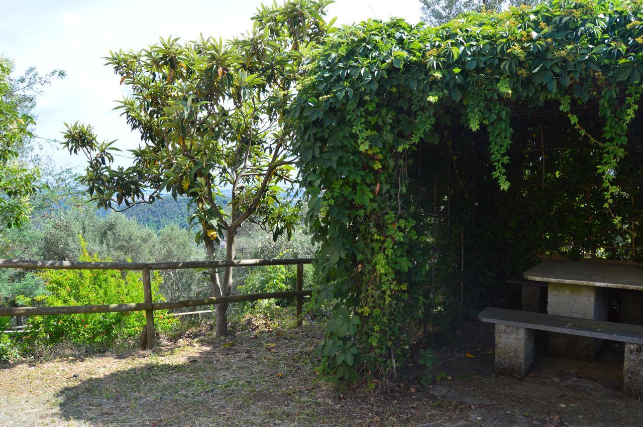 Casa Sarticola Apartment